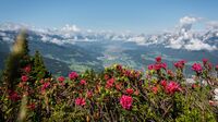 Silberregion Karwendel, Tirol - Wunderschöner Bergblick