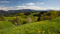 © ZweiTälerLand Tourismus / Clemes Emmler / ZweiTälerLand, Schwarzwald / Zum Vergrößern auf das Bild klicken